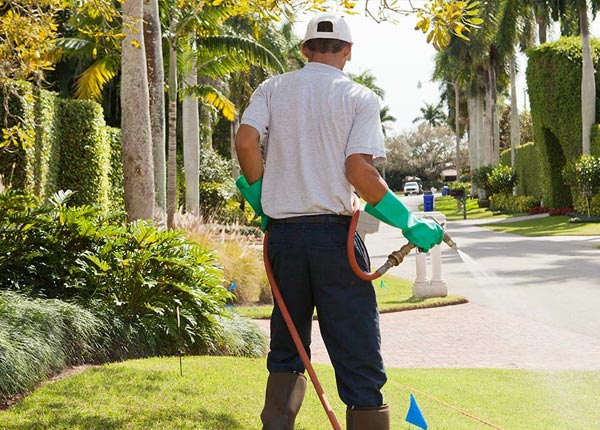 About Pinnacle NC Pest Control